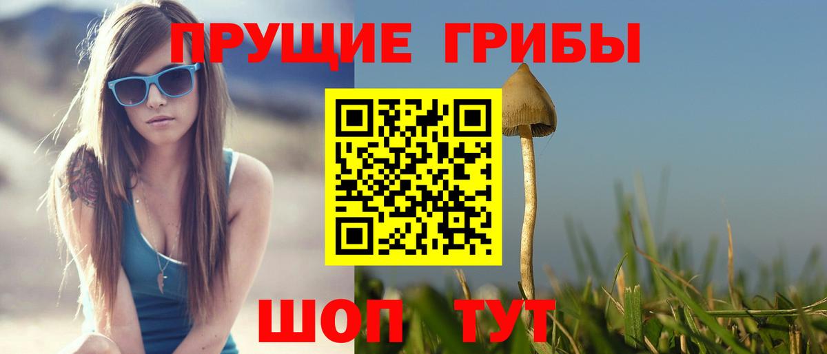 Галлюциногенные грибы MAGIC MUSHROOMS  купить наркотики сайты  Зеленокумск  Вход с VPN 